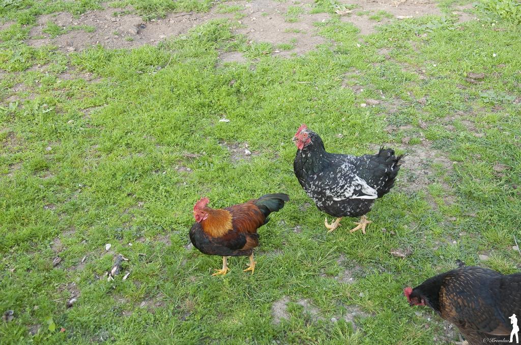 Zancornio Fancornio Ruralヴィラ 部屋 写真