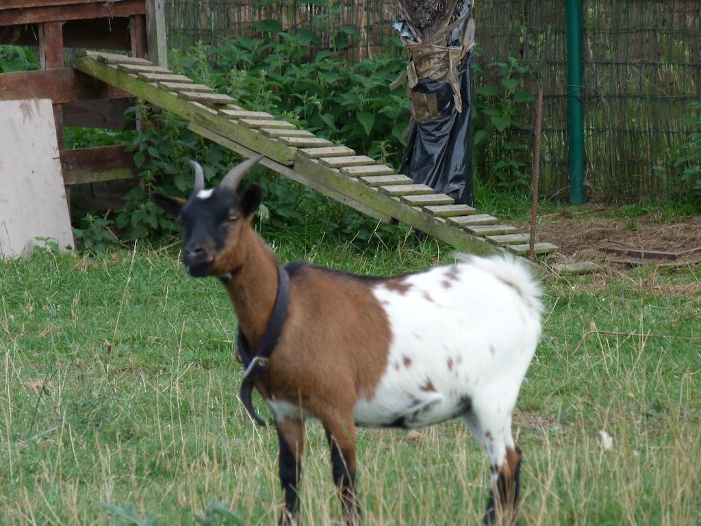 Zancornio Fancornio Ruralヴィラ エクステリア 写真